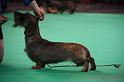 Crufts2011_2 1403